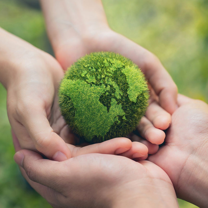 hands holding grassy globe to represent ecofriendly idea